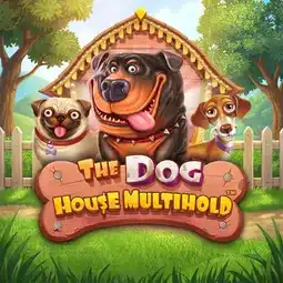 The Dog House Multihold game at Win Spirit Casino for Australian players The Dog House Multihold game at Win Spirit Casino for Australian players